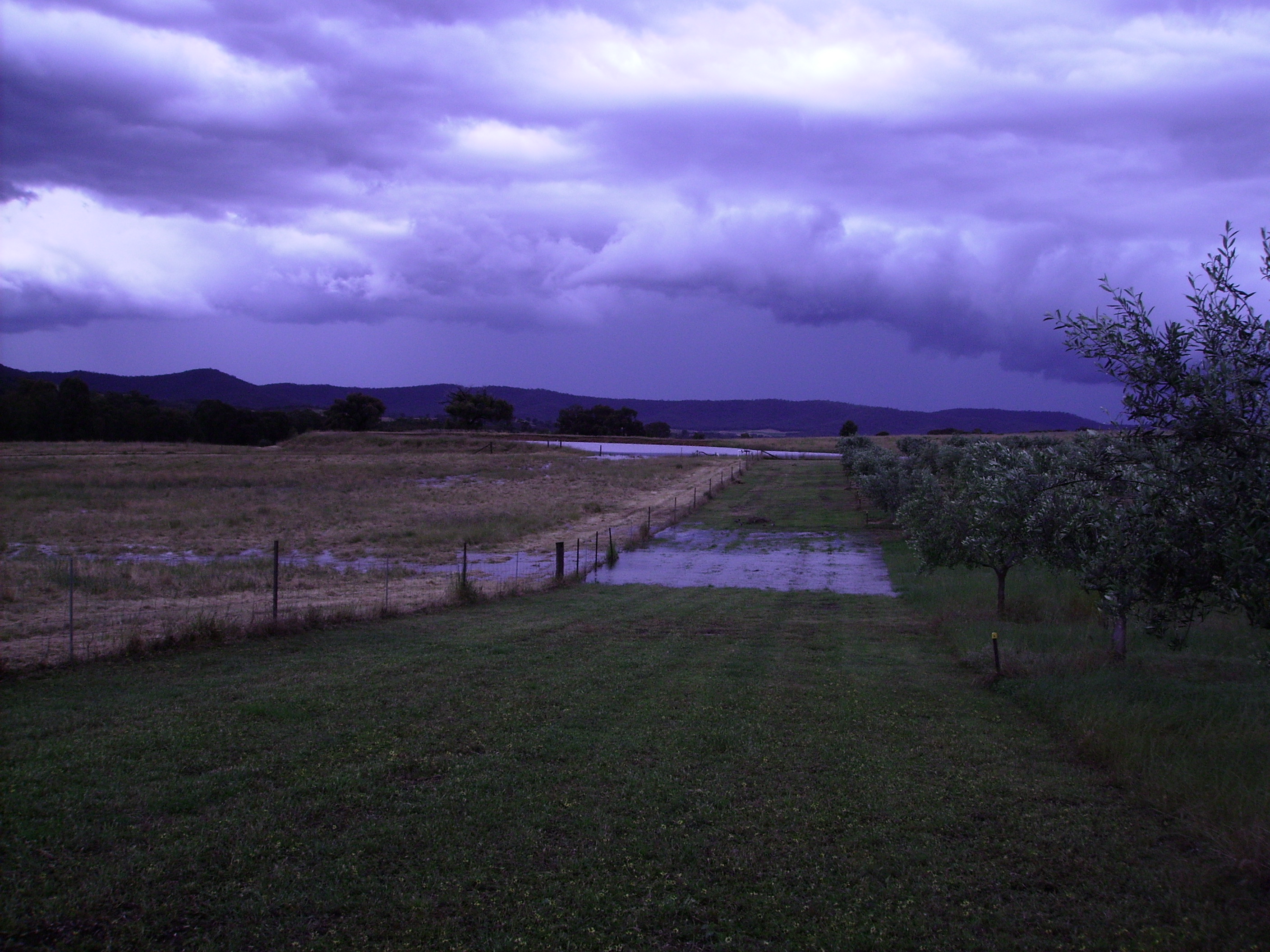 2011 The Grove in Flood