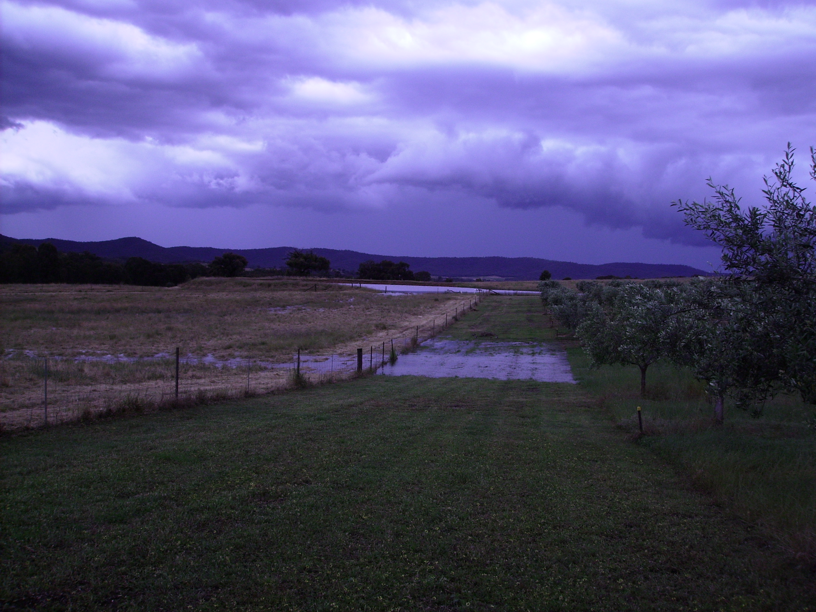 2011 The Grove in Flood